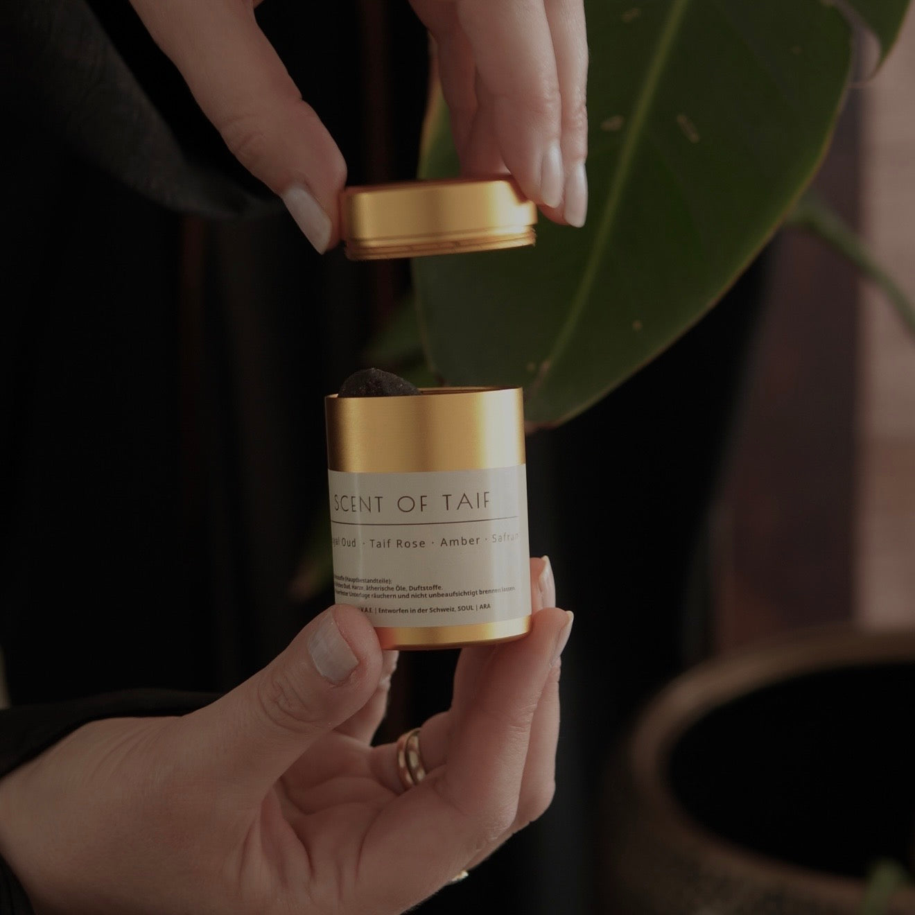 Scent of Taif